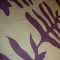 Alternative view of Pana Helecho Morado por Mayor