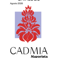 Catalogo Mayorista